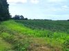 5001 Boll Weevil Circle photo
